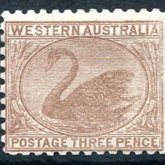 1905/12 3d brown swan with Crown over double-lined ...