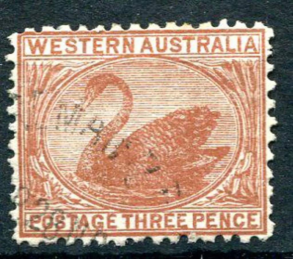 1912 3d brown Swan with Crown & double line A Wmk ... Image 1++