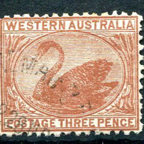 1912 3d brown Swan with Crown & double line A Wmk ...