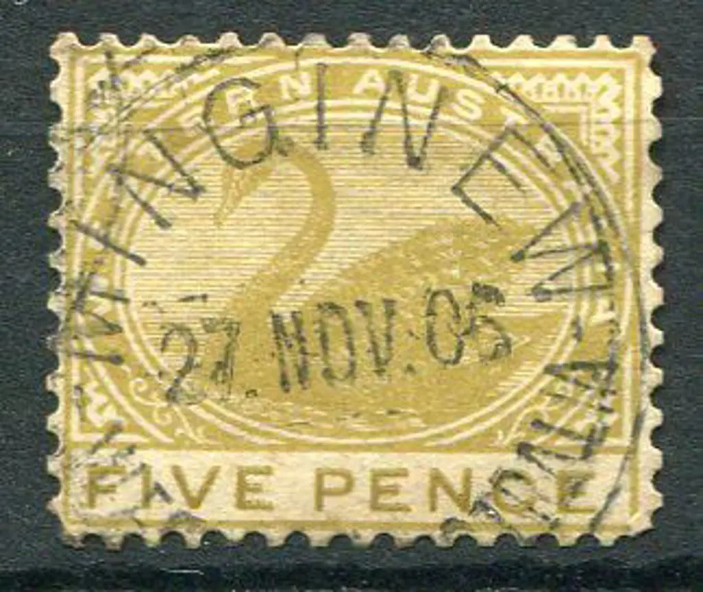 Minginew A25 75% strike on 5d swan with 27 NOV 05 ... Image 1++