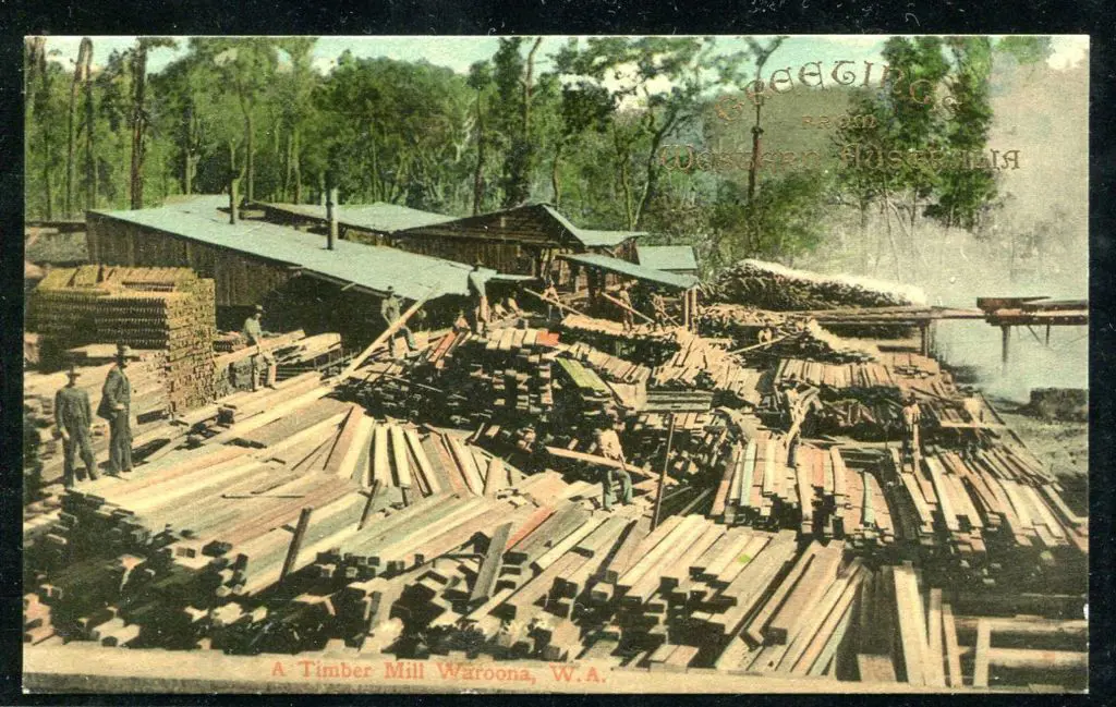 "A Timber Mill Waroona, WA" published by P Falk & ... Image 1++