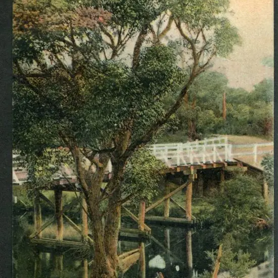 "King River Bridge, Albany WA" (vert) F E Morgan ...