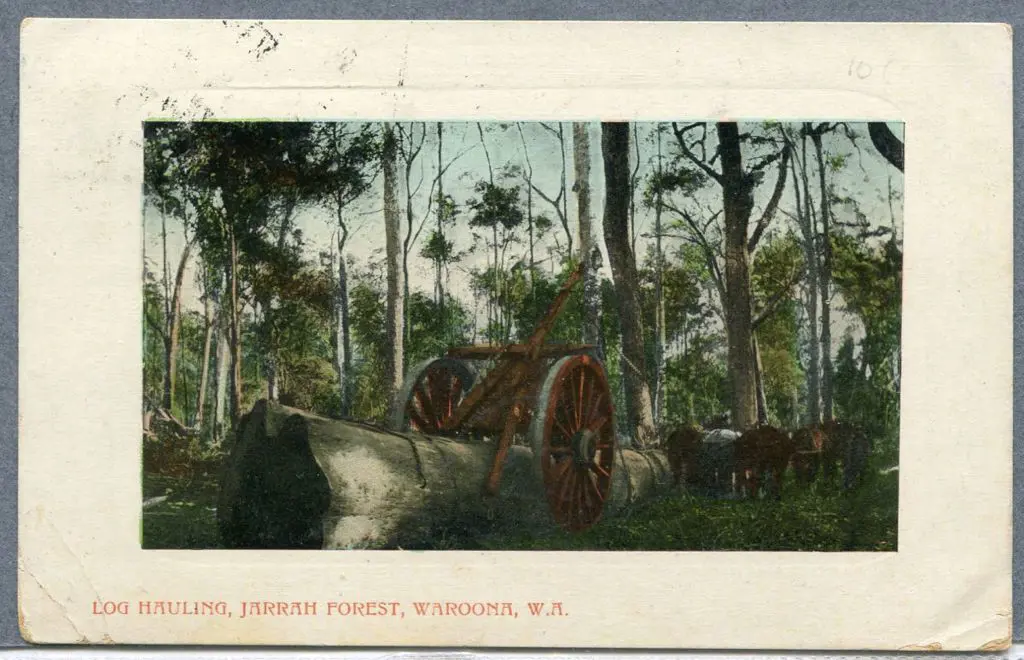 "Log Hauling, Jarrah Forest, Waroona, WA" Falk ... Image 1++