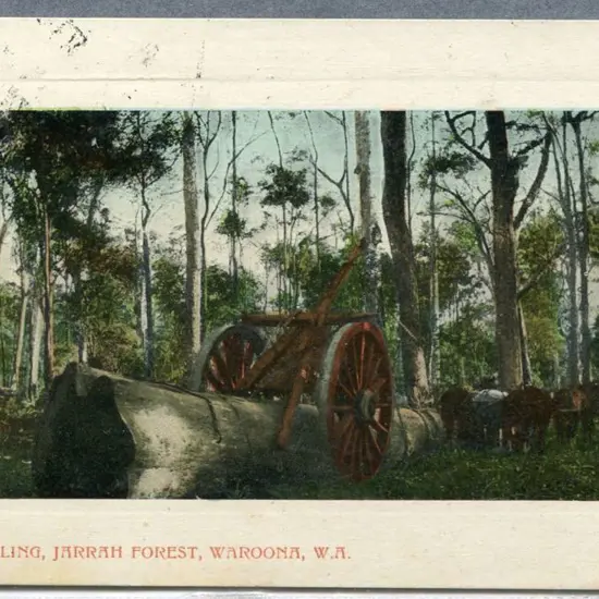 "Log Hauling, Jarrah Forest, Waroona, WA" Falk ...