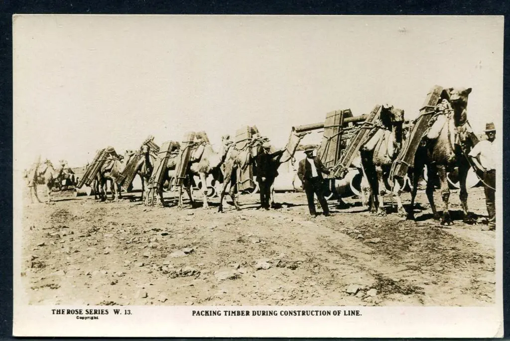"Packing Timber During Construction of Line" b&w ... Image 1++