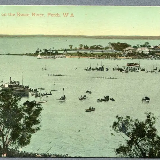 "Regatta on the Swan River, Perth, WA" Falk ...