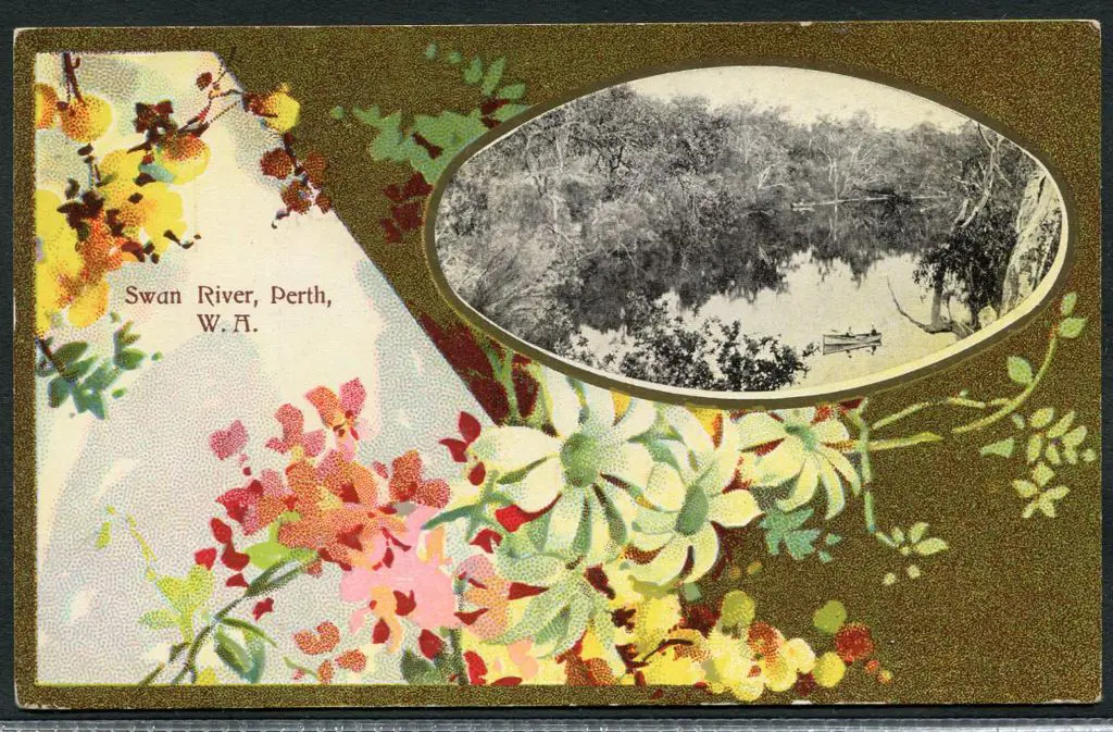 "Swan River, Perth WA" The NSW Bookstall Company ... Image 1++