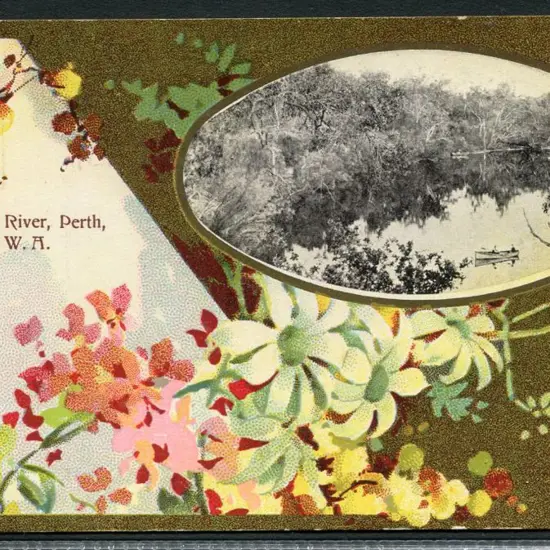 "Swan River, Perth WA" The NSW Bookstall Company ...