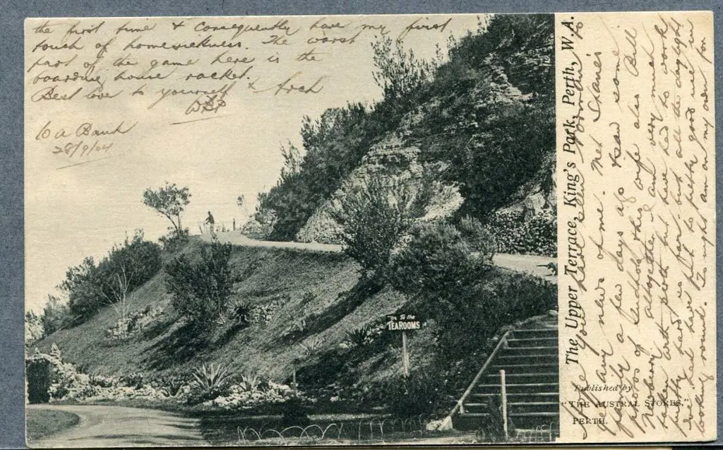 "The Upper Terrace, Kings Park, Perth, WA" Austral ... Image 1++
