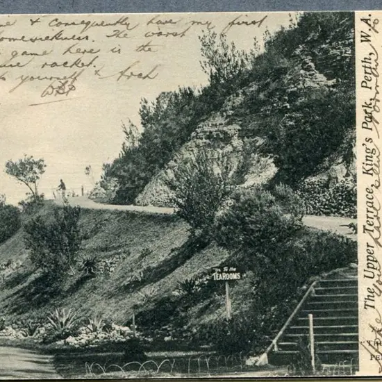 "The Upper Terrace, Kings Park, Perth, WA" Austral ...