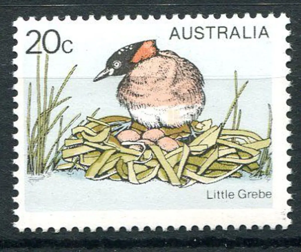 1978 20c Little Grebe with "Yellow (beak & eye) ... Image 1++