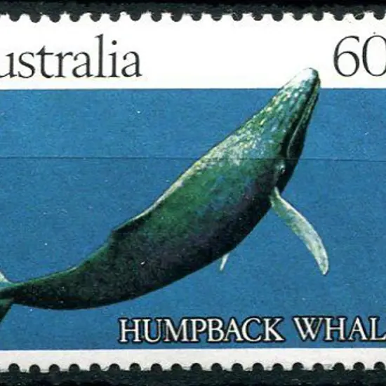 1982 60c Humpback Whale trial printing with solid ...
