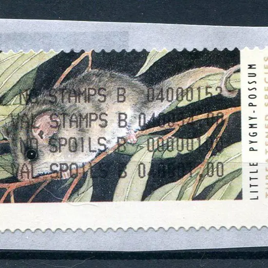 1994 "Little Pygmy Possum" CPS without imprint but ...