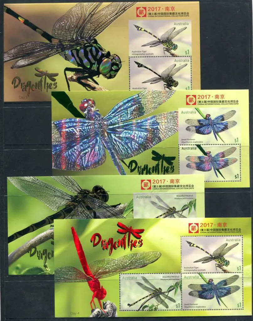 2017 China International Collection Expo sets of ... Image 1++