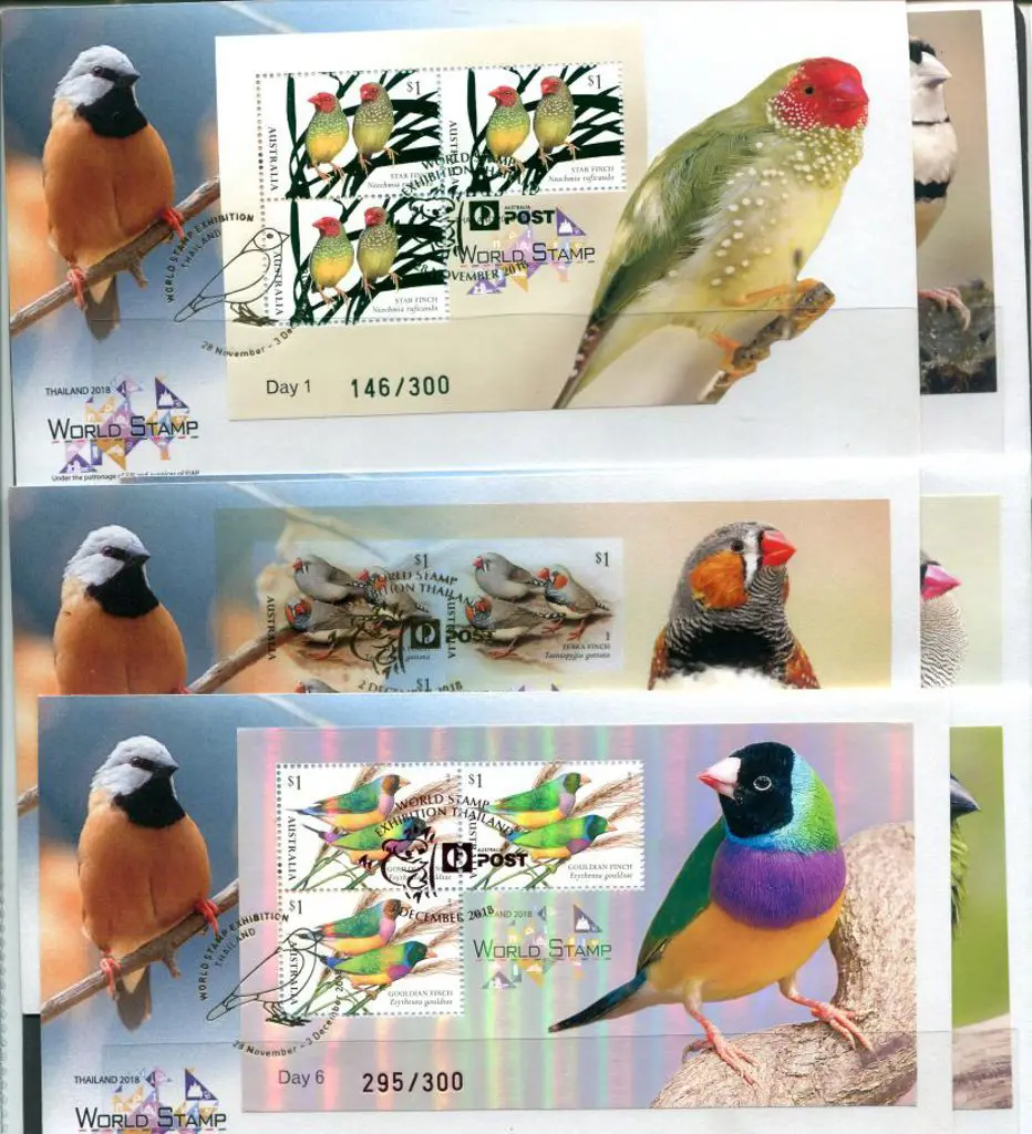 2018 (28th Nov-3rd Dec) Finches set of 6 ... Image 1++