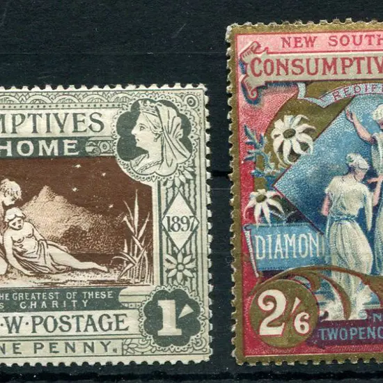 1897 Diamond Jubilee/Consumptive Homes charity ...