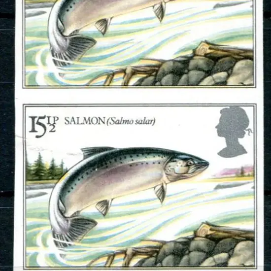 1983 15½p Salmon vertical imperforate pair with ...