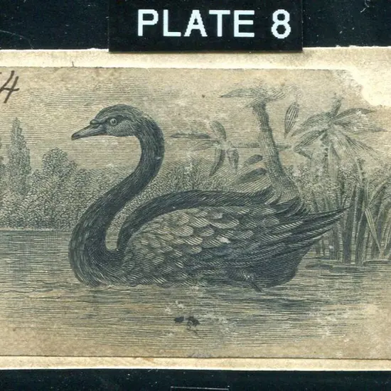 1854 Engraved Die Proof of a swan on the water on ...