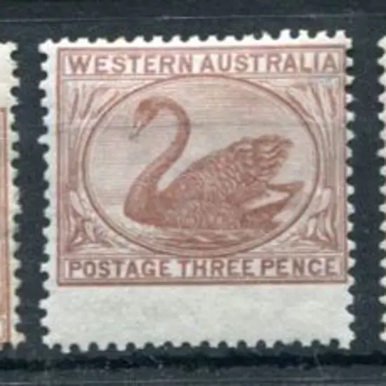1871 3d pale brown. MUH single & 4 MUH/MLH with ...