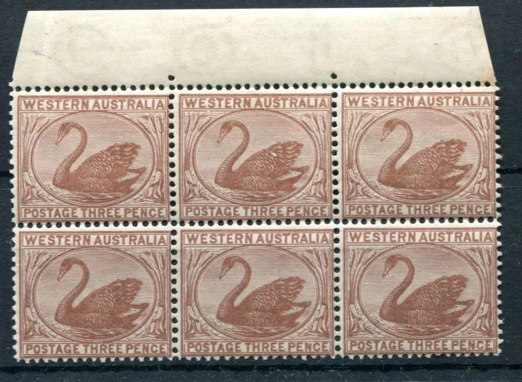 1895 3d red-brown in top selvedge block of 6. ... Image 1++