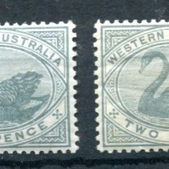 1885/93 2d bluish-grey & grey shades, perf 14. ...