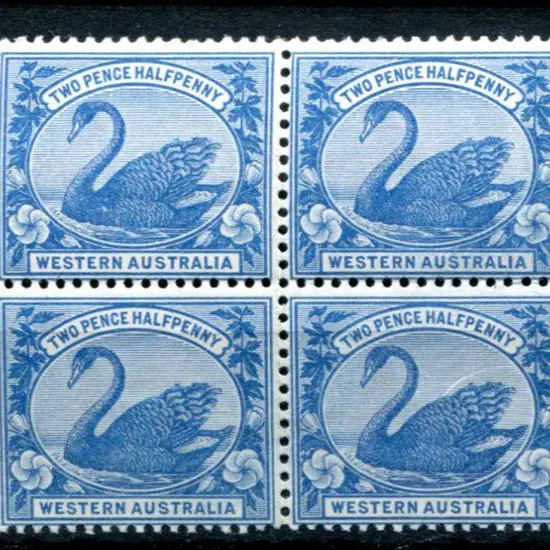1901 2½d blue block of 4. MUH, light vertical bend ...