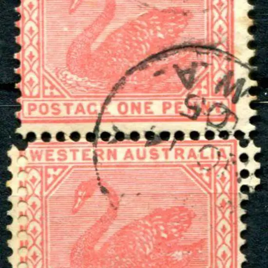 1903 1d carmine-rose in vertical pair with jumped ...