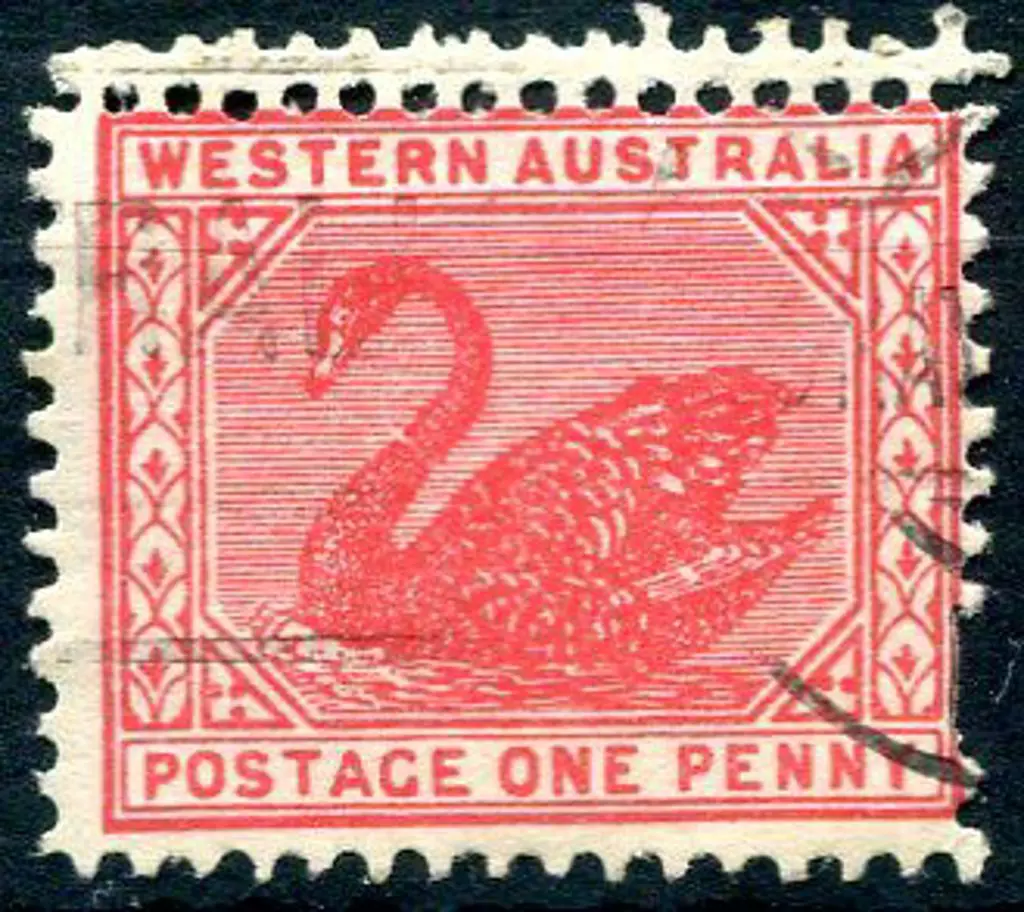 1905 1d rose-red with double perfs at the top. ... Image 1++