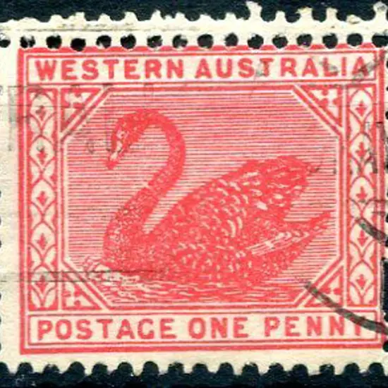 1905 1d rose-red with double perfs at the top. ...