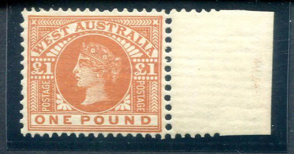 1902 £1 orange-brown. MVLH on right selvedge but ... Image 1++