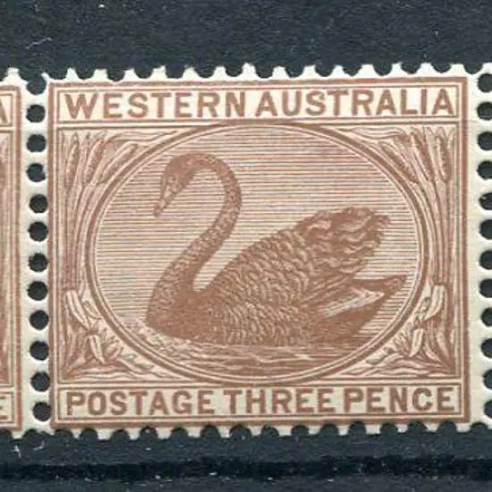 1906 3d brown in horiz pair with current number ...