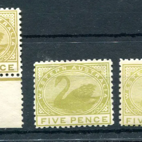 1905/12 5d pale olive-bistre, 5d olive-green & 5d ...
