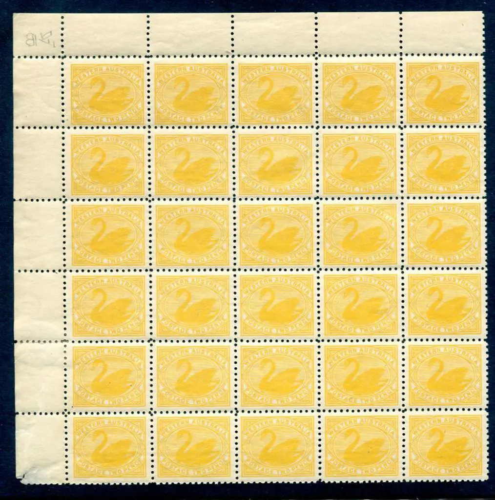 1905 2d yellow x 120. This appears to be a ... Image 1++