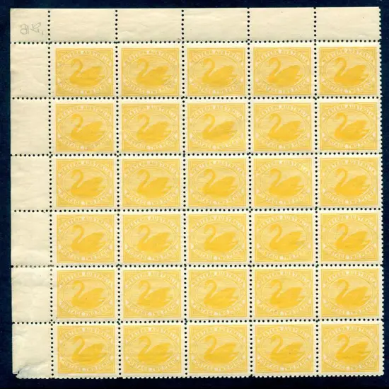 1905 2d yellow x 120. This appears to be a ...
