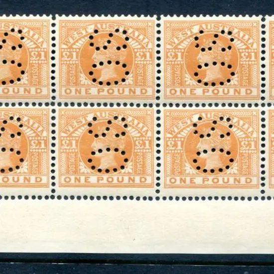 1909 £1 orange. MUH lower right bottom selvedge ...