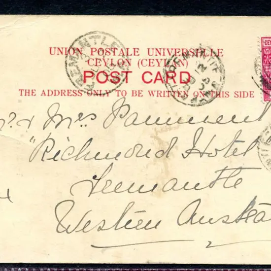 1905 (31st May) "Tamil Tea Pluckers" b&w postcard ...
