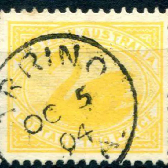 Arrino (c) 3b on 2d yellow swan for OC 5 04. PO ...