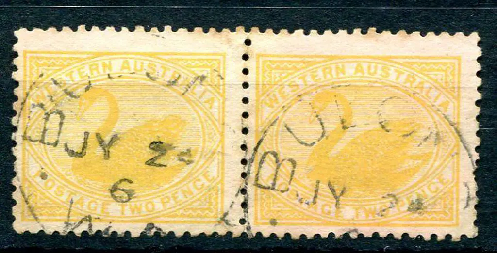 Bulong 3b-c. Two strikes on 2d yellow swans pair ... Image 1++