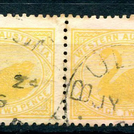 Bulong 3b-c. Two strikes on 2d yellow swans pair ...