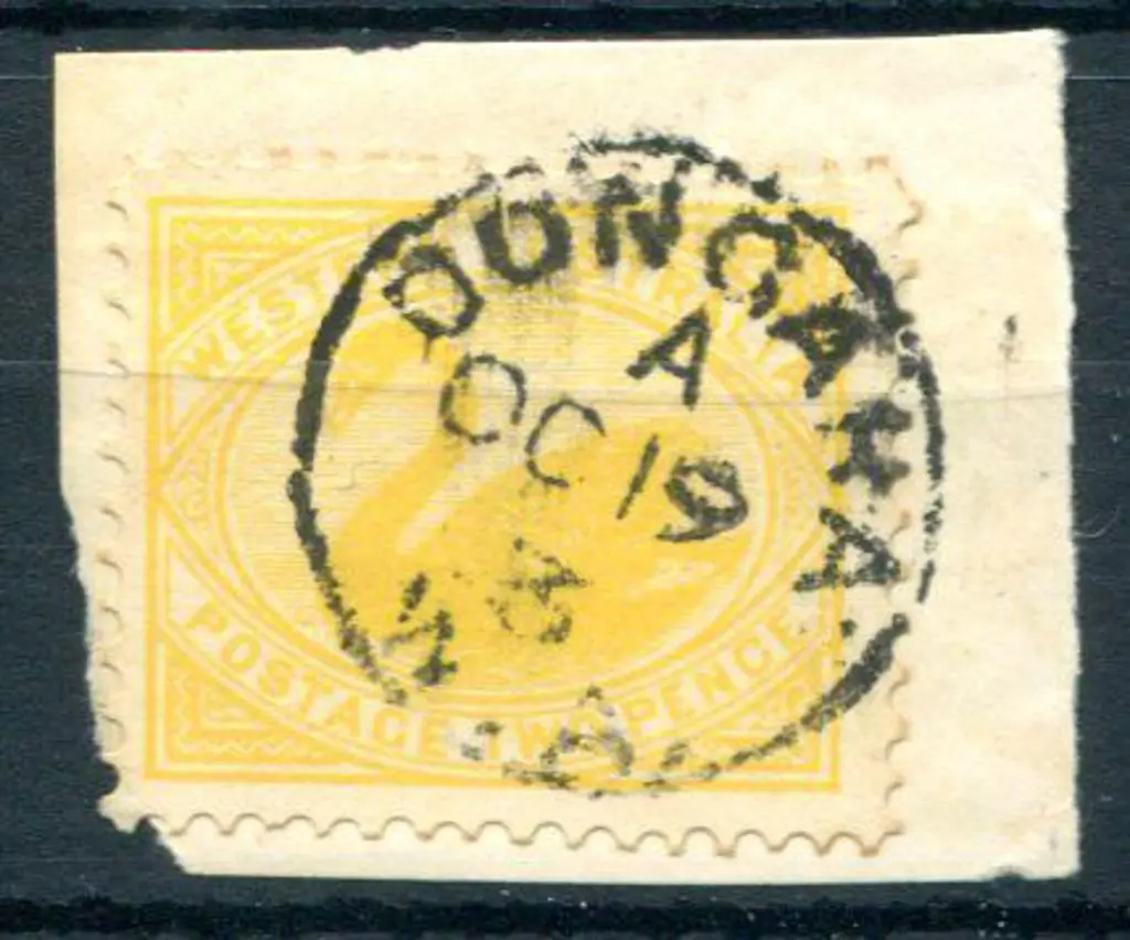 Dongara 3b Index A on 2d yellow swan on piece ... Image 1++
