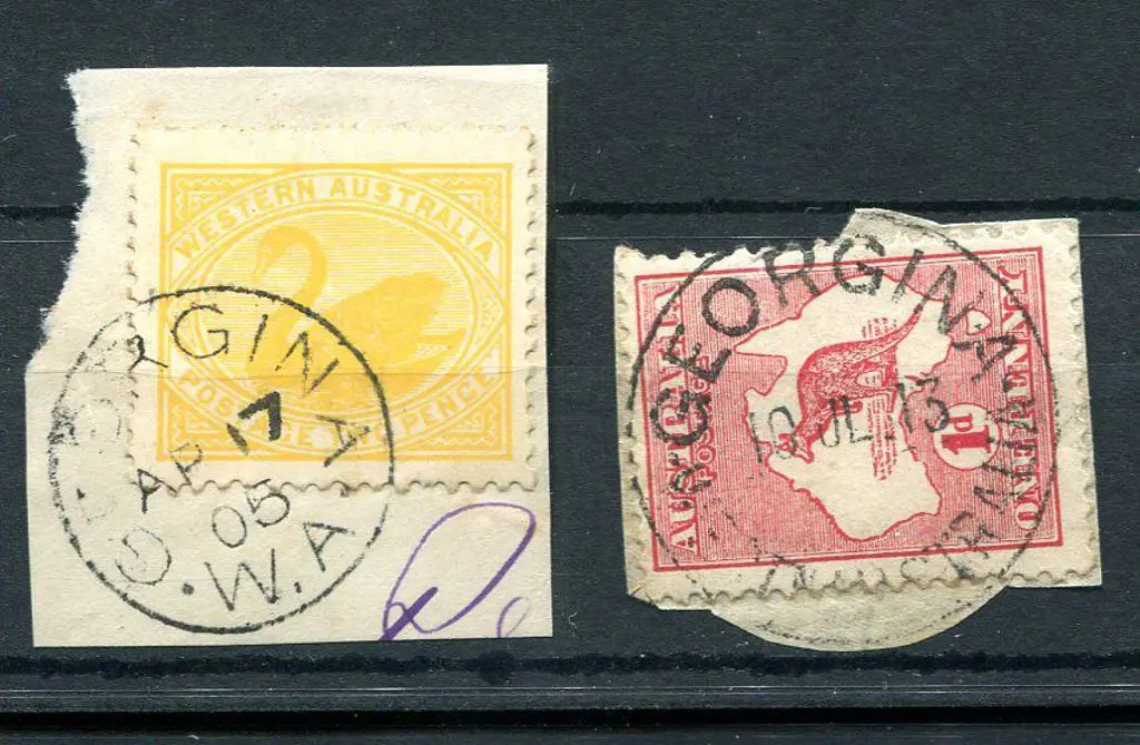 Georgina 3b Complete on 2d yellow swan on piece ... Image 1++