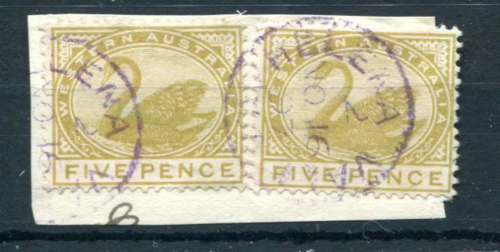 Helena Vale 3b Index 2 on 5d olive swans pair with ... Image 1++