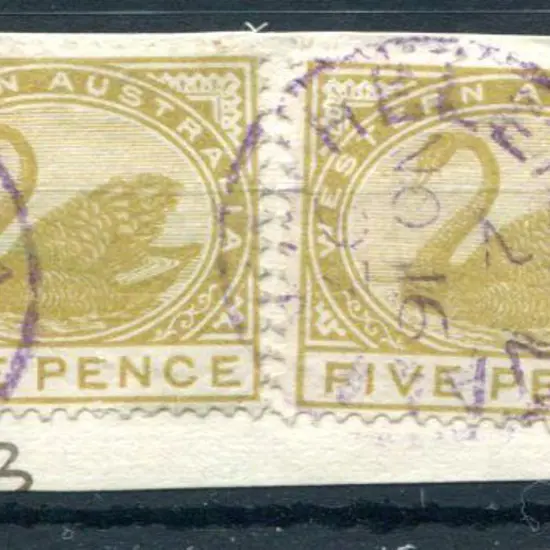 Helena Vale 3b Index 2 on 5d olive swans pair with ...