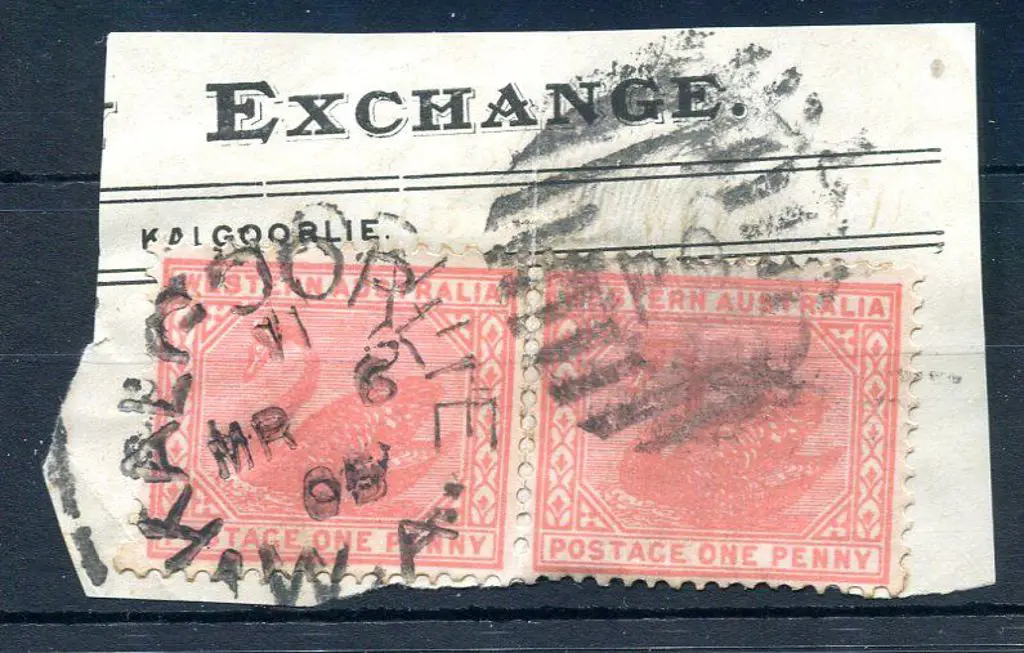 Kalgoorlie DxPO-f duplex index 11 on 1d swans pair ... Image 1++