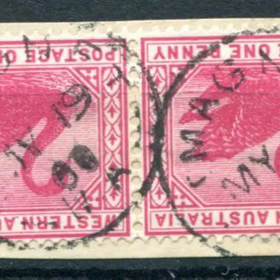 Mt Magnet 3b-b Two variable strikes on 1d red swan ...