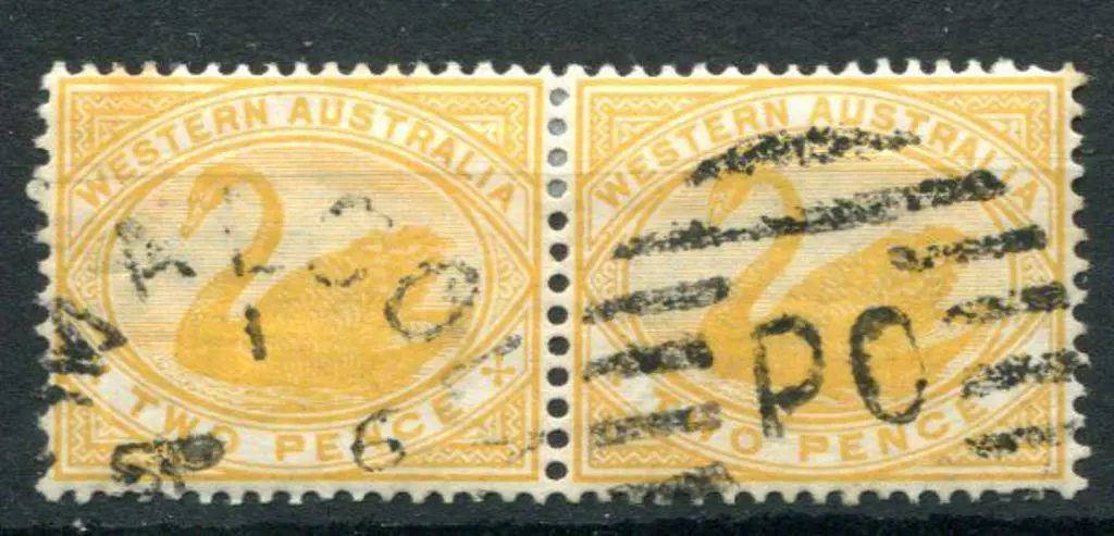 Mt Malcolm duplex DxPO in 1 on 2d yellow swans ... Image 1++