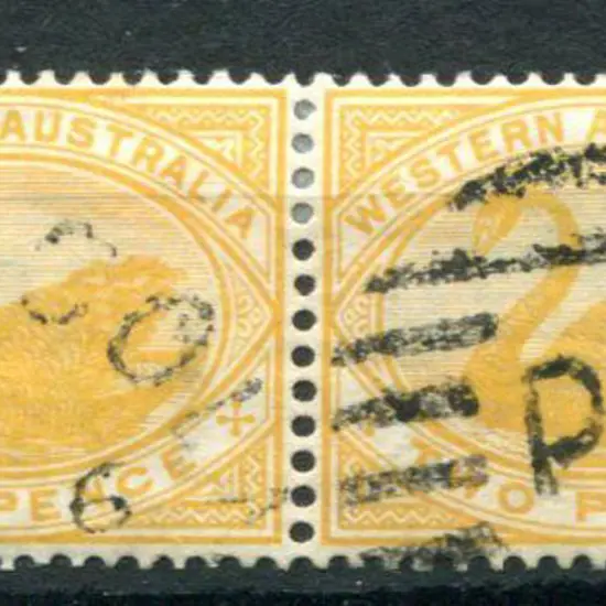 Mt Malcolm duplex DxPO in 1 on 2d yellow swans ...