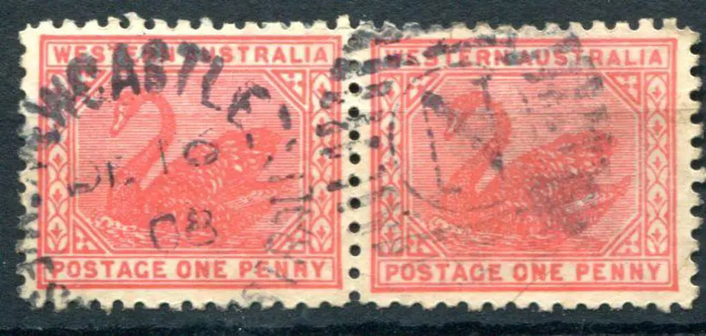 Newcastle duplex DxL2 on 1d swans pair, Crown/A ... Image 1++