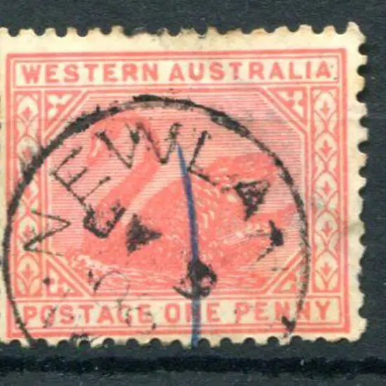 Newlands 3b on 1d red swan for JY 9 08. Part ...