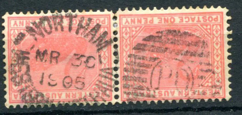 Northam duplex DxPO index NIL on 1d red swans pair ... Image 1++